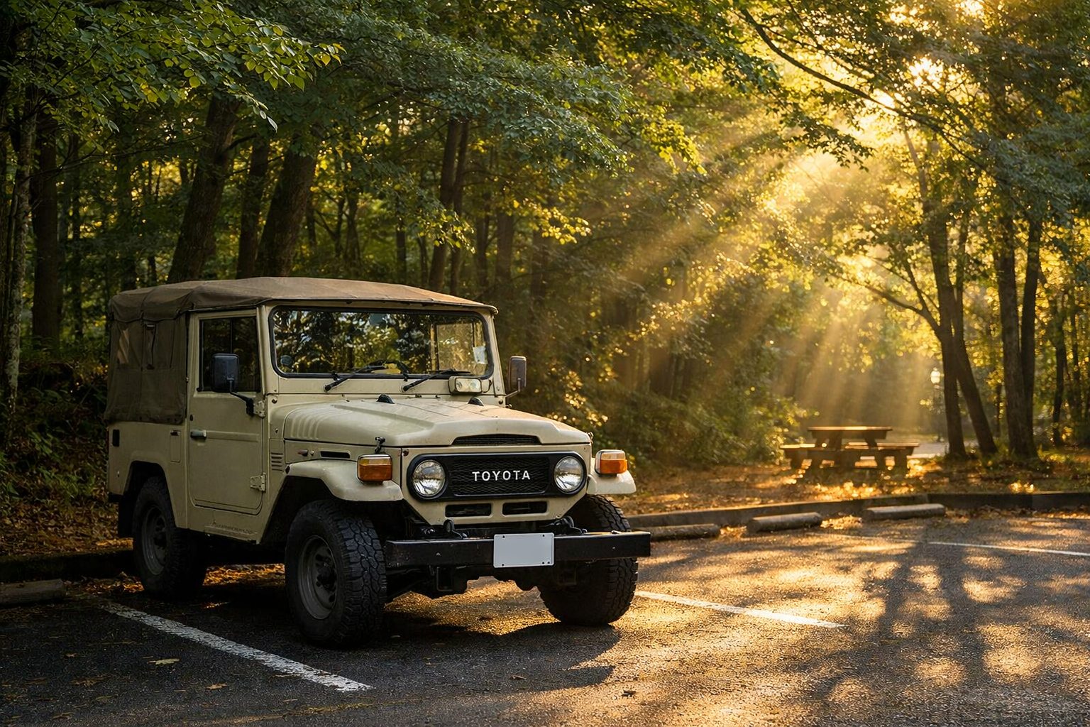 森を歩いた朝、新しい時間が始まっていた